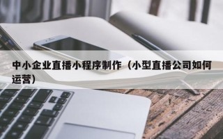 栖霞中小企业直播小程序制作（小型直播公司如何运营）